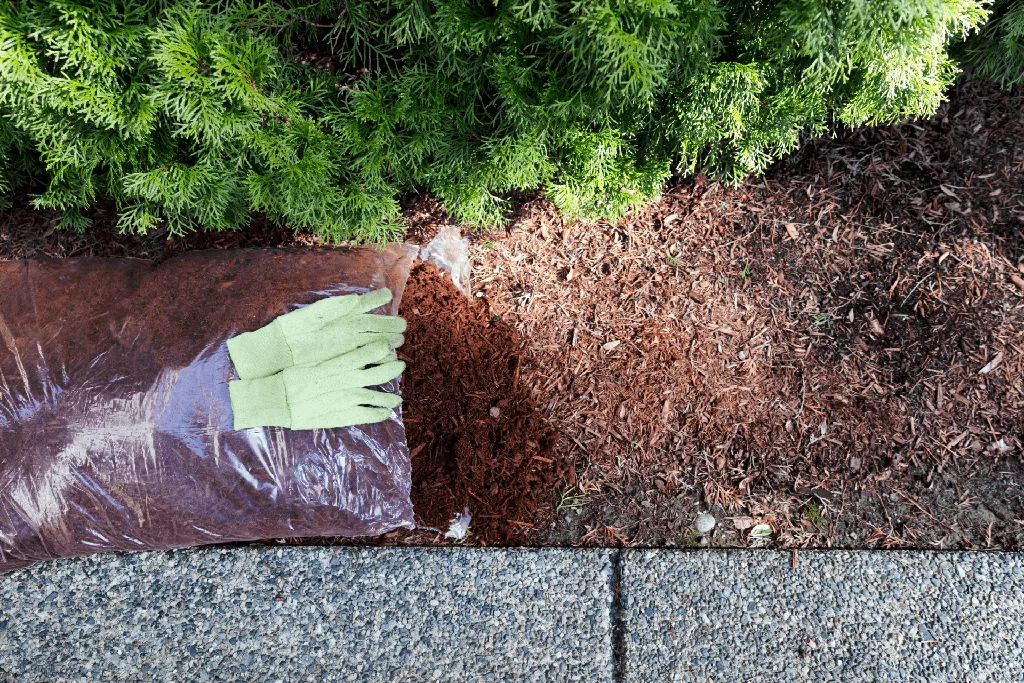 lawn mulching